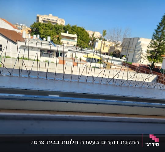 דוקרנים למניעת יונים על אדן חלון